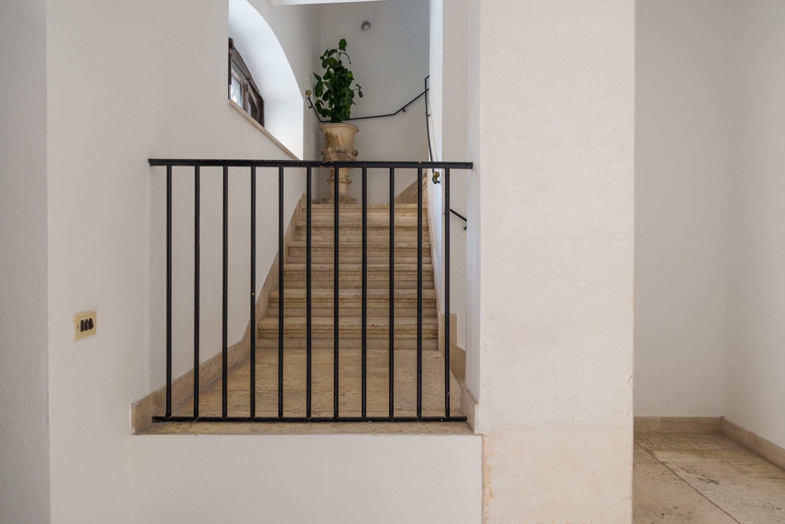 img-image/jpeg