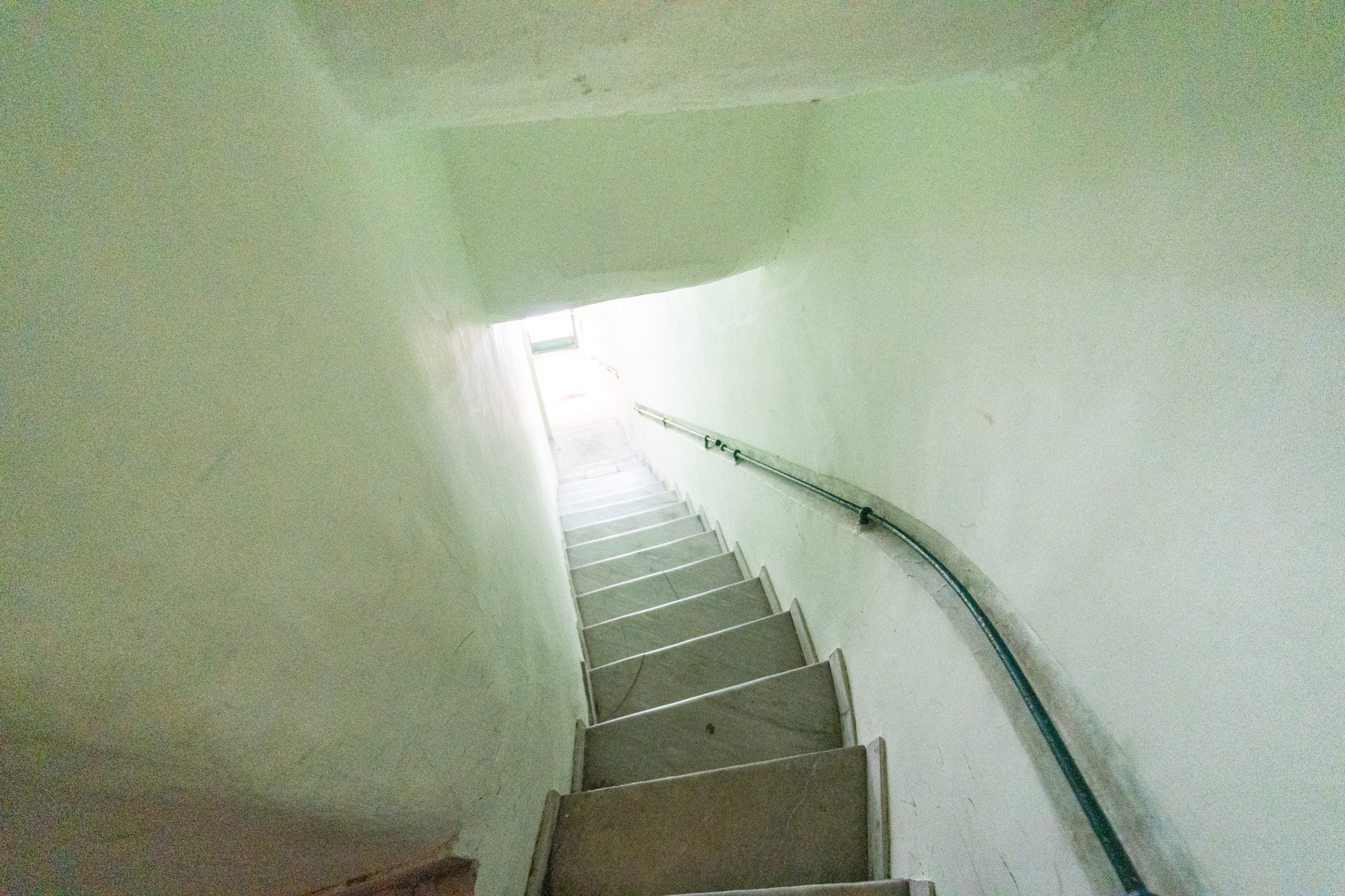 img-image/jpeg