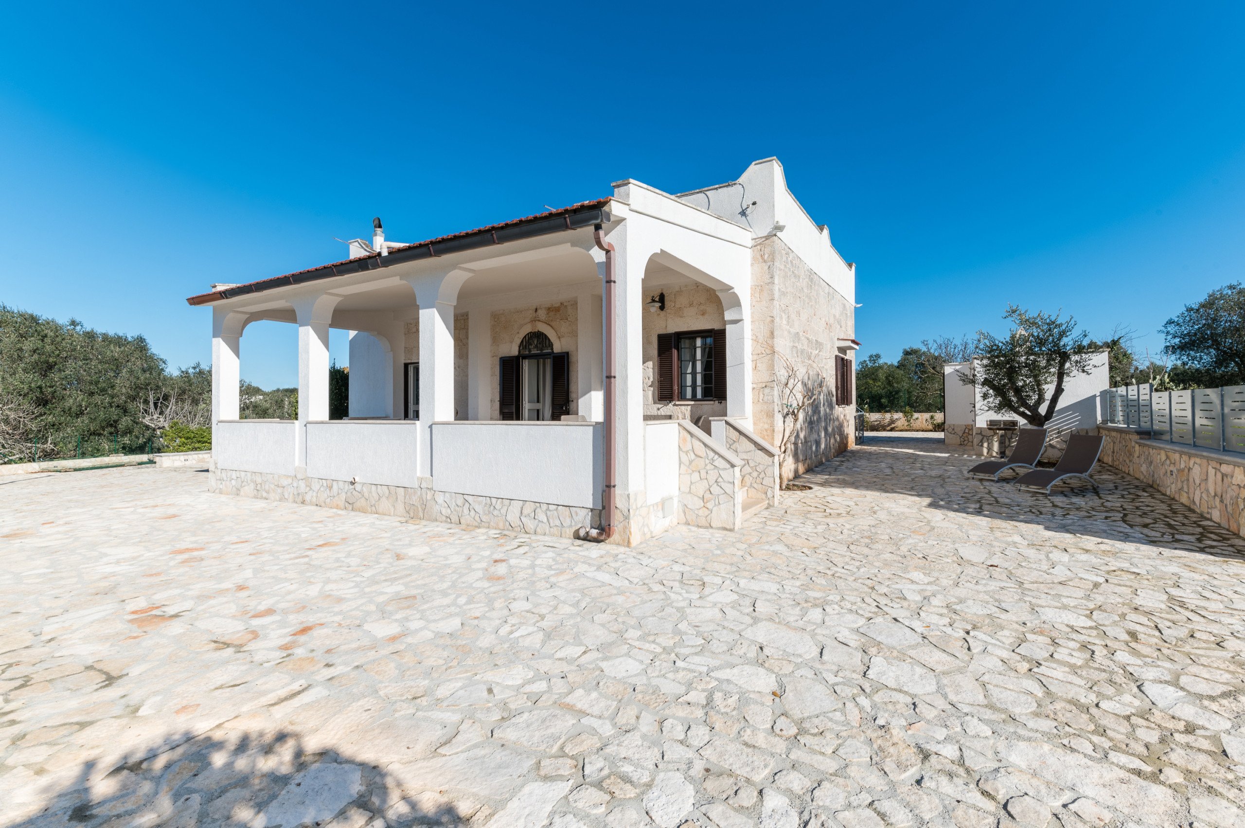 img-image/jpeg