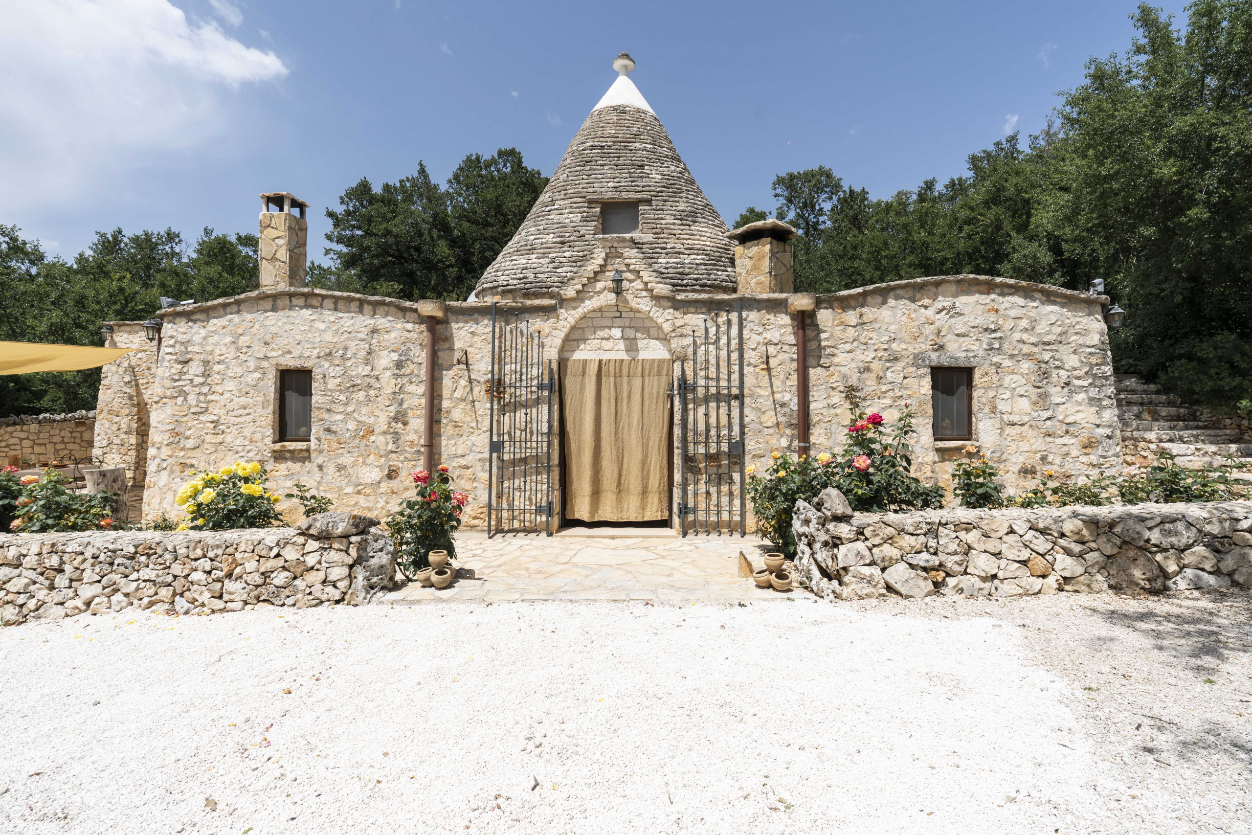 img-image/jpeg