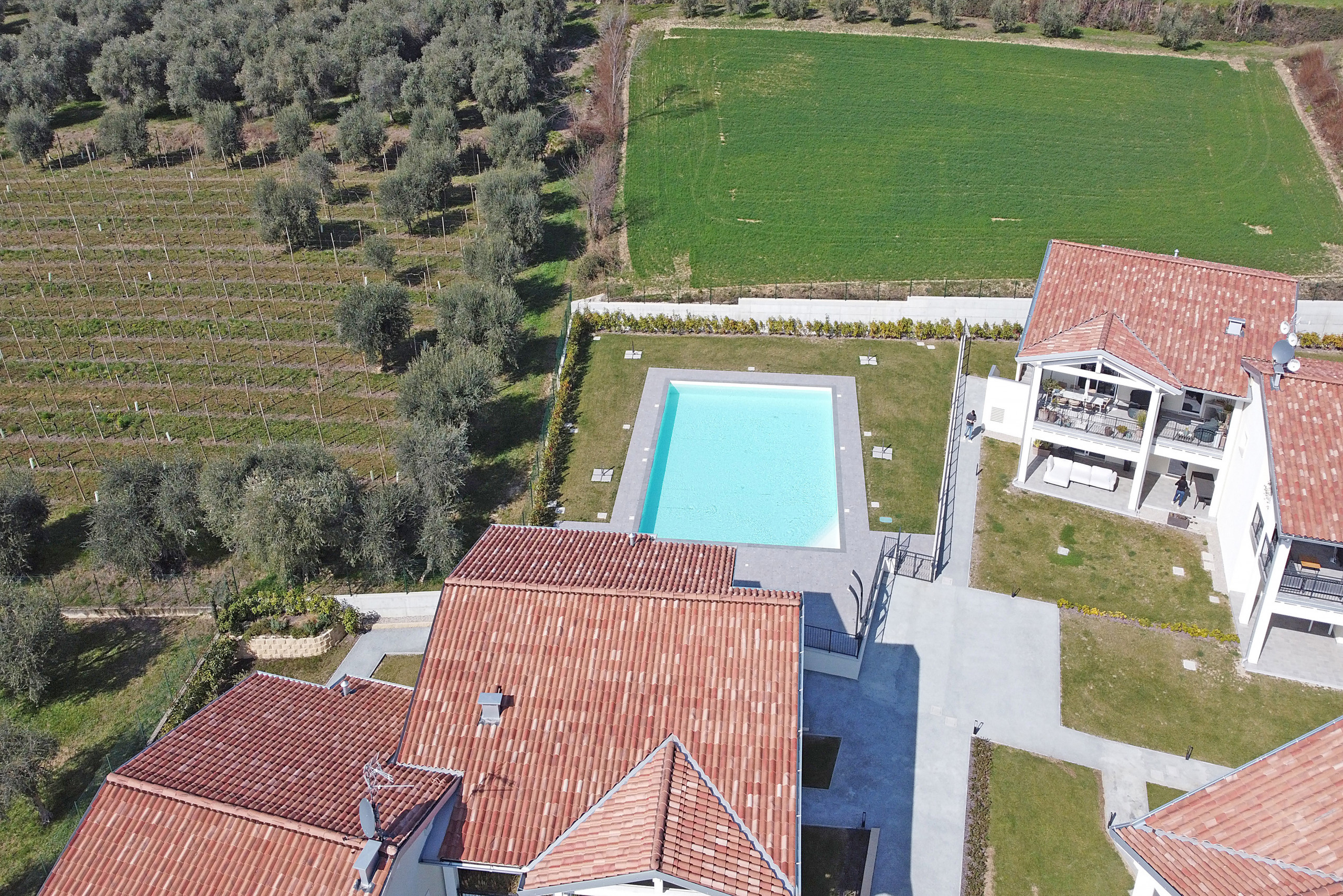 img-image/jpeg