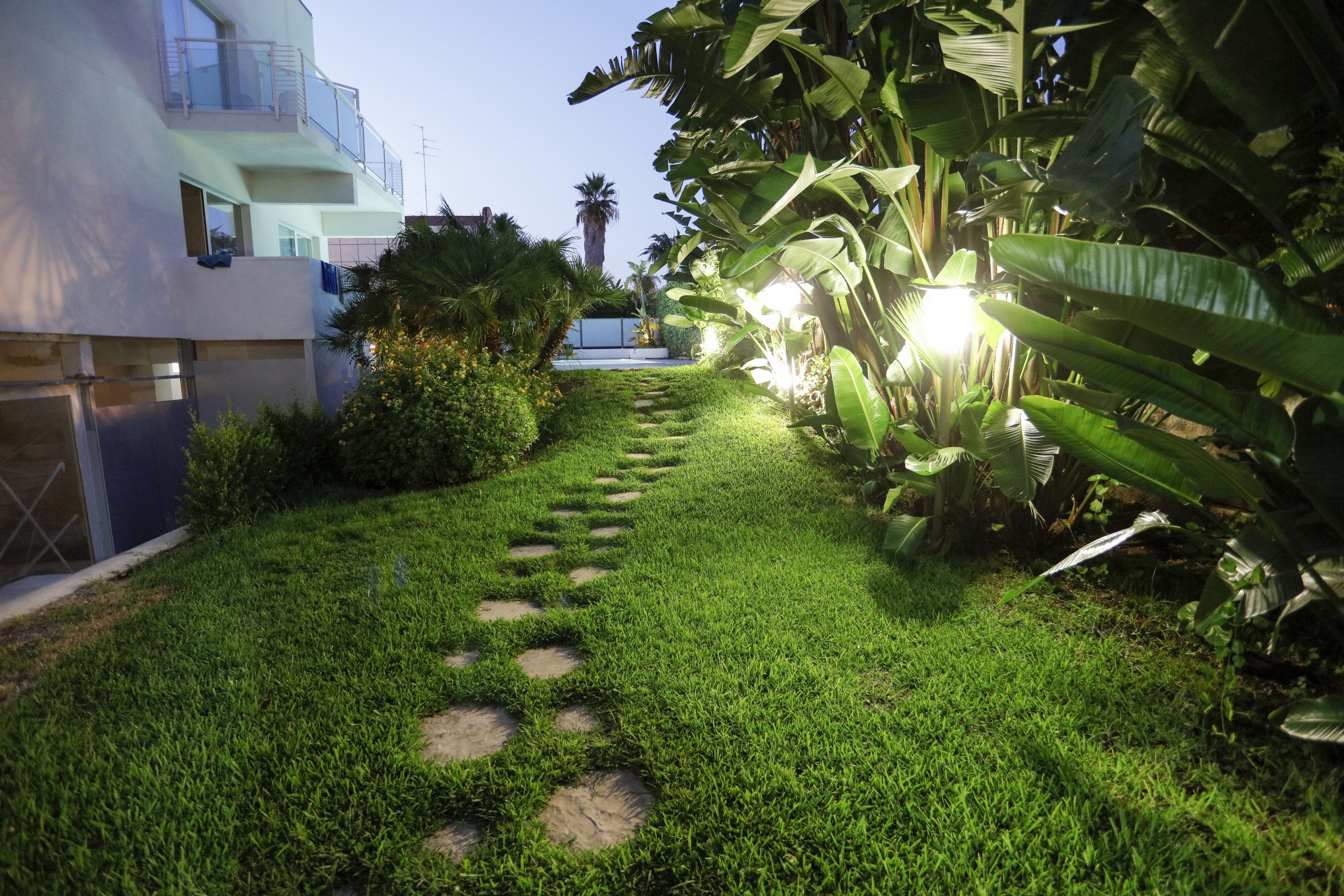 img-image/jpeg