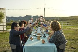 Wine Tasting in Lazise: discover the Tenuta Masi experience